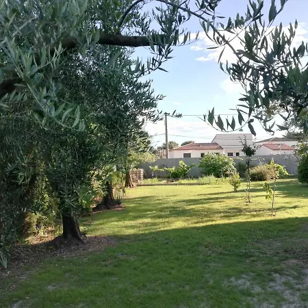 Un Avant Gout Du Nirvana * Canet (Herault)